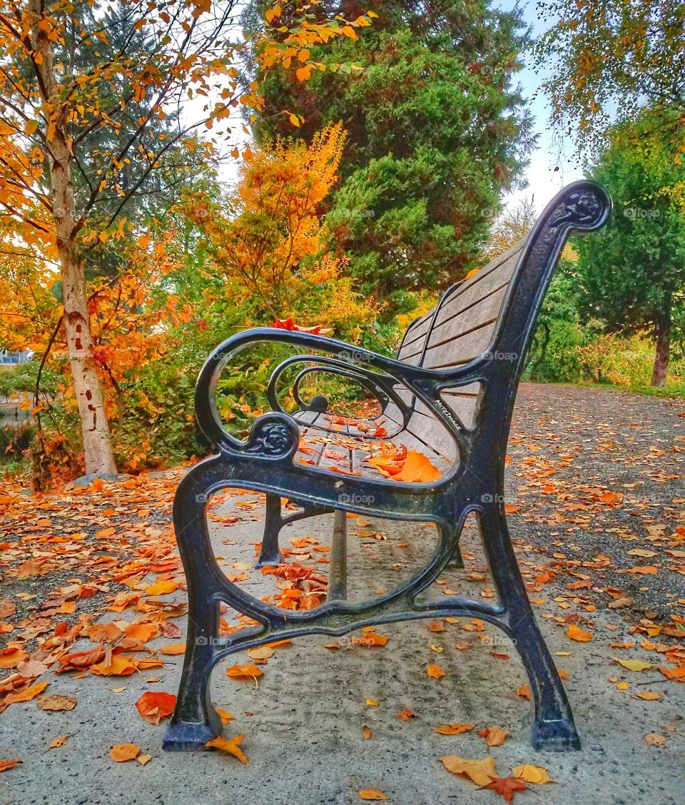 Park Bench