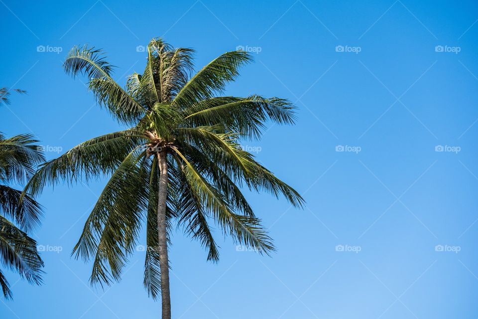 Blue sky at beautiful island ... Koh Lipe Thailand