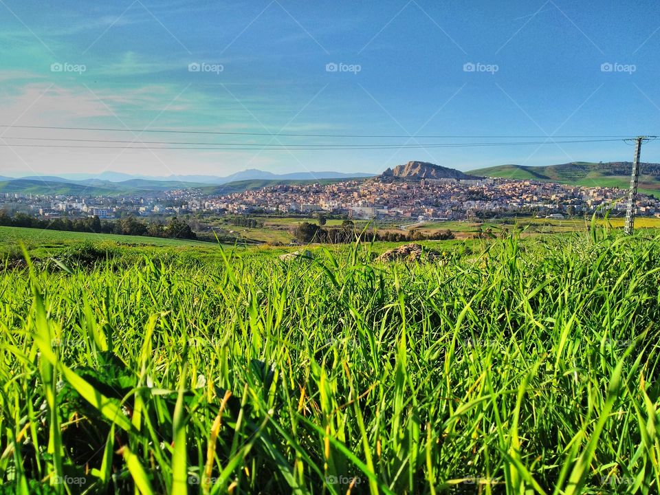 Algerias's amazing plain