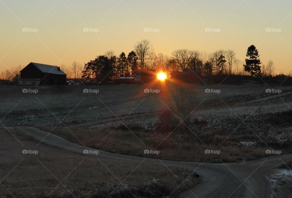 Sunset behind trees near a red house 