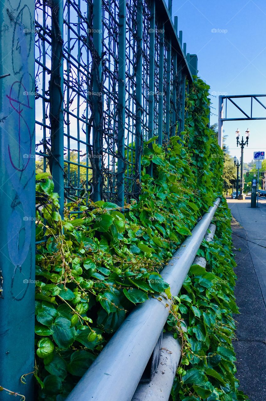 Portland Oregon bridge 1