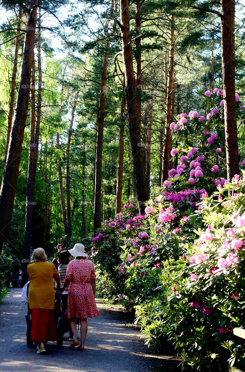 Out for a walk with family at Haaga alpine rose park at Helsinki, Finland