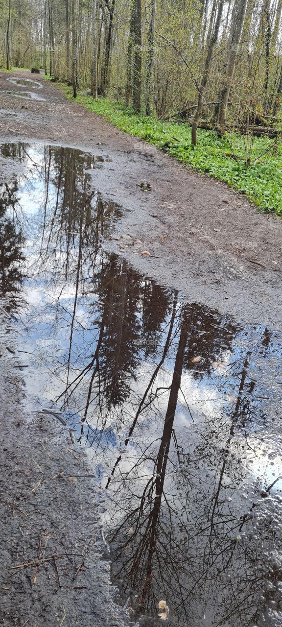 Puddles of water mirroring