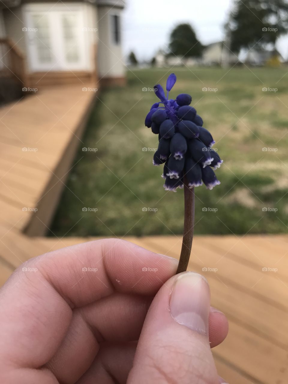 Hand with flowers 