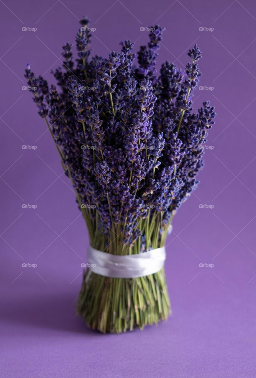 Lavender