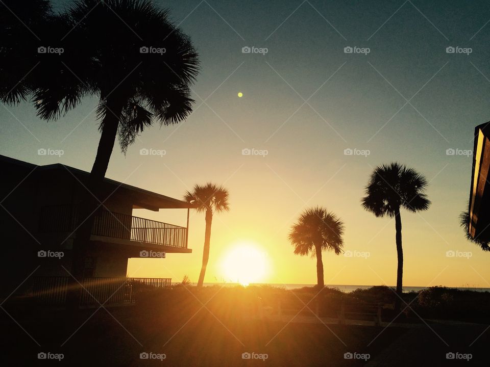 Beach Sunset in Venice, FL