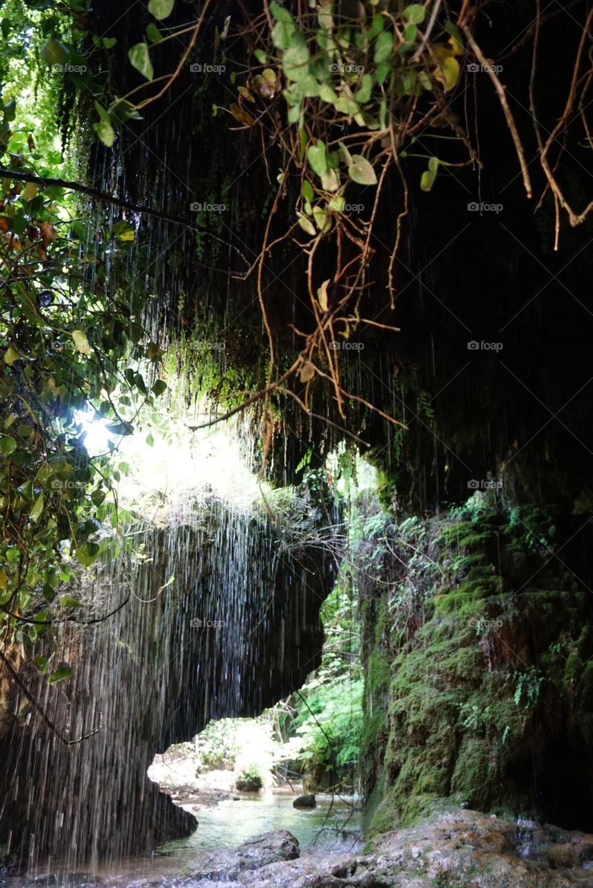 Cave#nature#rain#water#plants