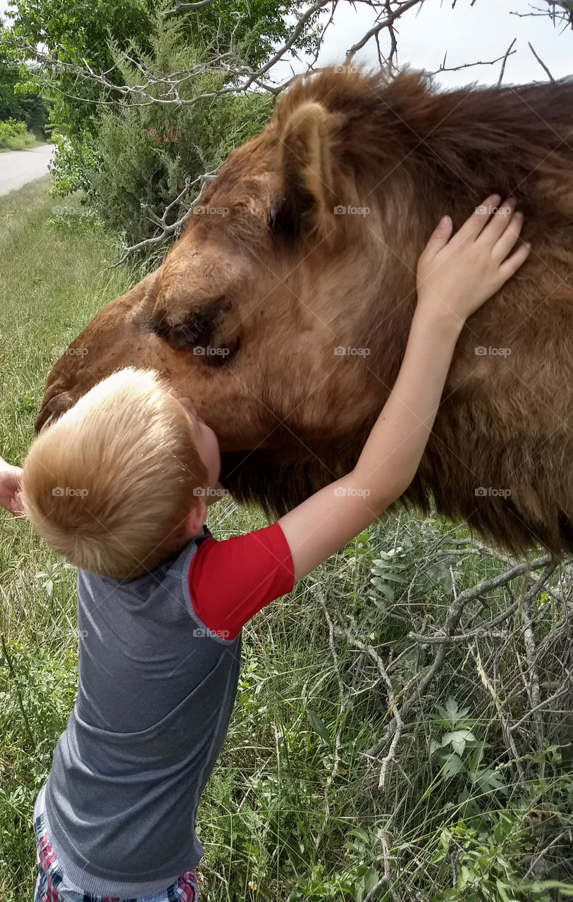 Boy giving his new friend, the camel, a hug and kiss.