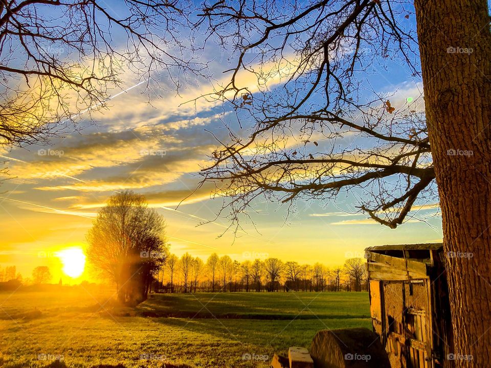 Dramatic and colorful sunset over an idyllic Countryside landscape with some bare trees, grassland and a shed in it