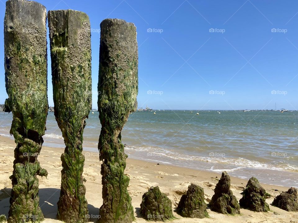 Panoramic shot of wooden posts against clear blue sky