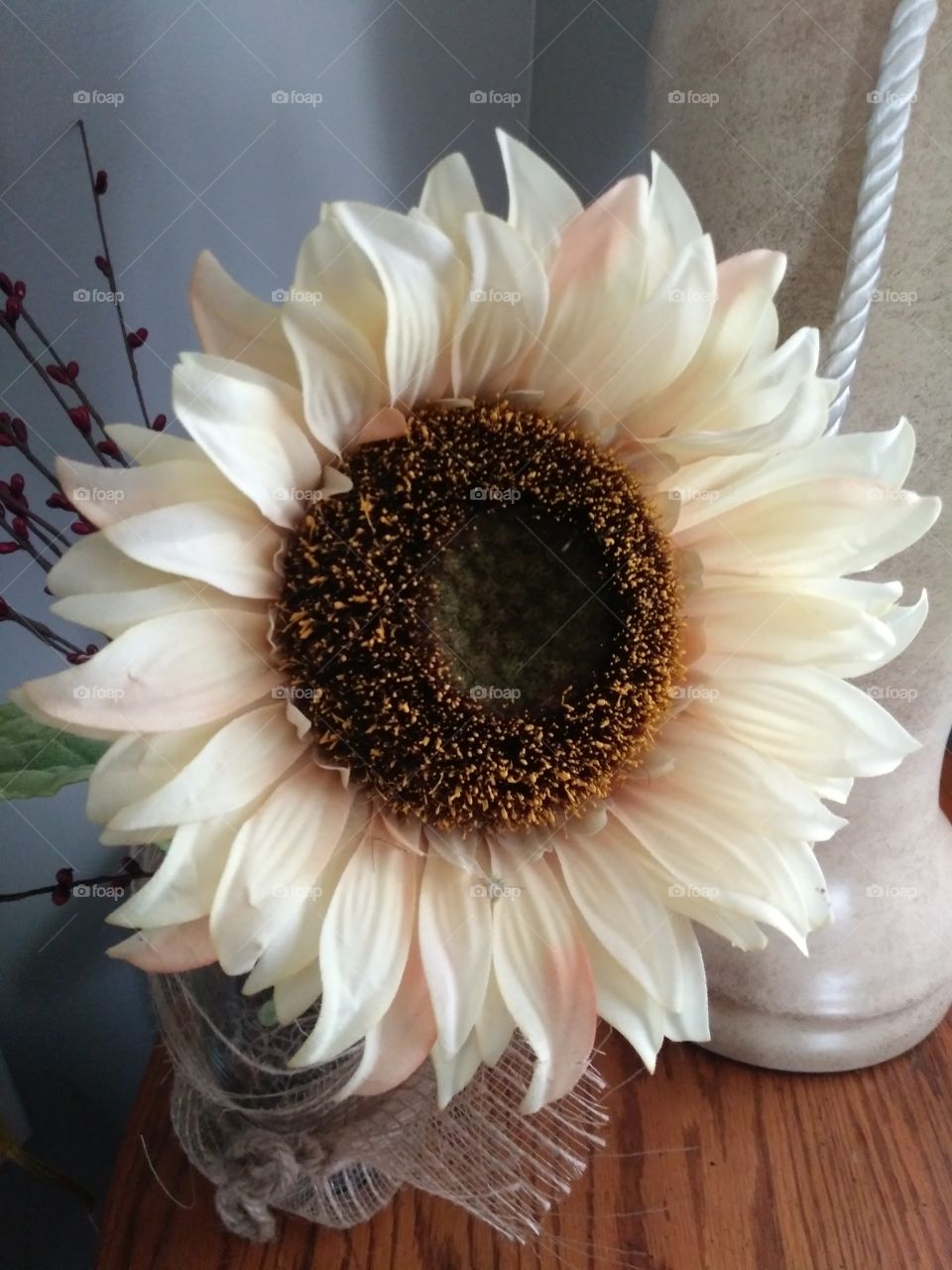 Even a dead sunflower is still beutiful.