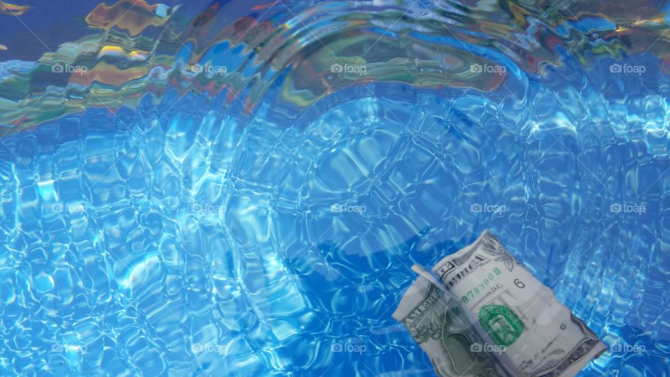 swimming dollar