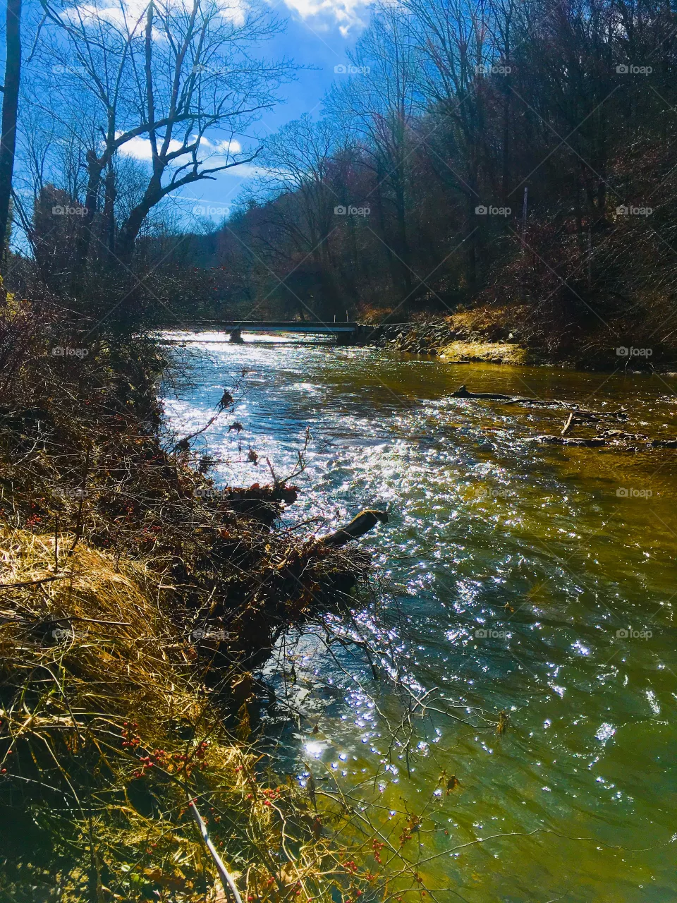 Creek 