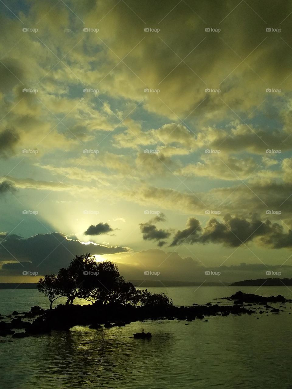 a beautiful seaside scene