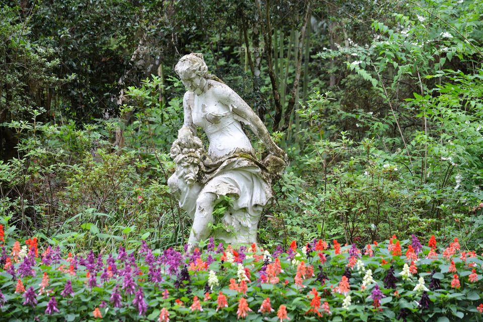 Elegant Statue of a Lady in Garden of Snap Dragoon Flowers
