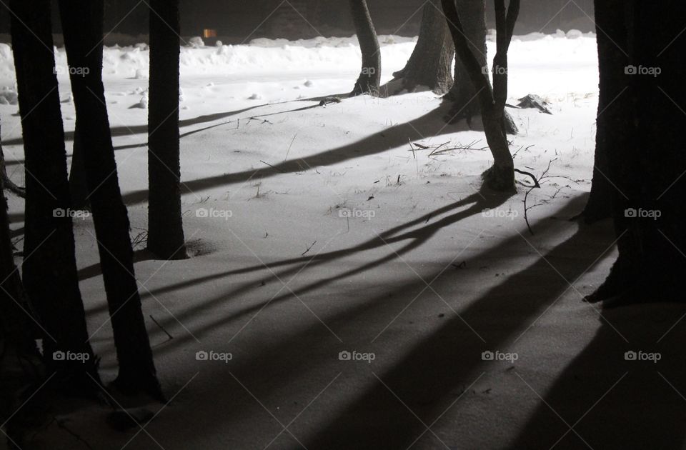 Shadows over the snow