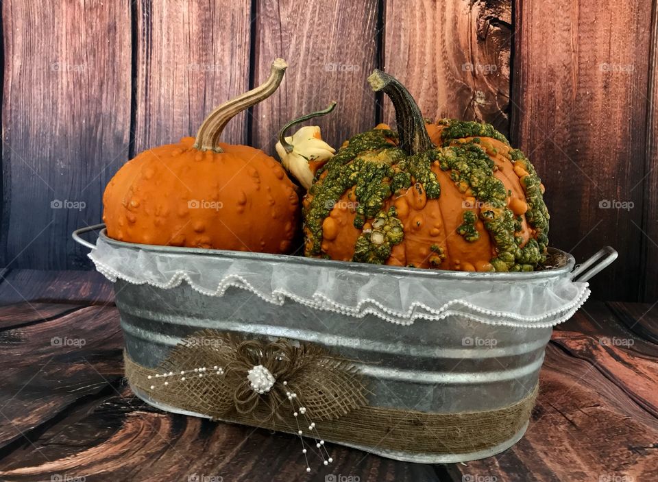 An old country style metal tub with freshly harvested and multi-colored gourds along with two heavily textured pumpkins in orange and green for the fall harvest and Halloween and Thanksgiving holidays. 