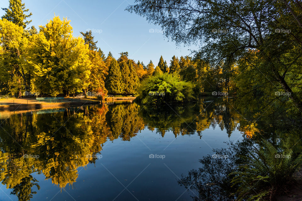 Autumn reflections 