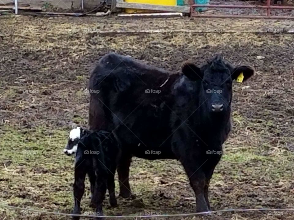 Driving the  back Roads enjoying everything around us