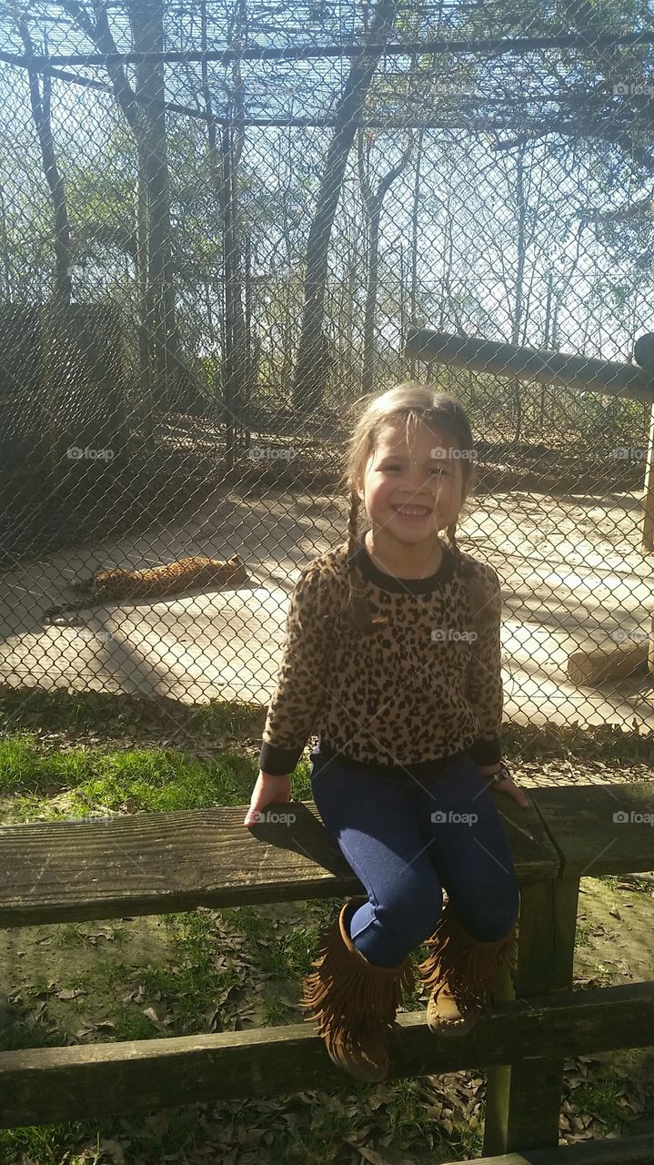 cheetah cutie. day at the zoo