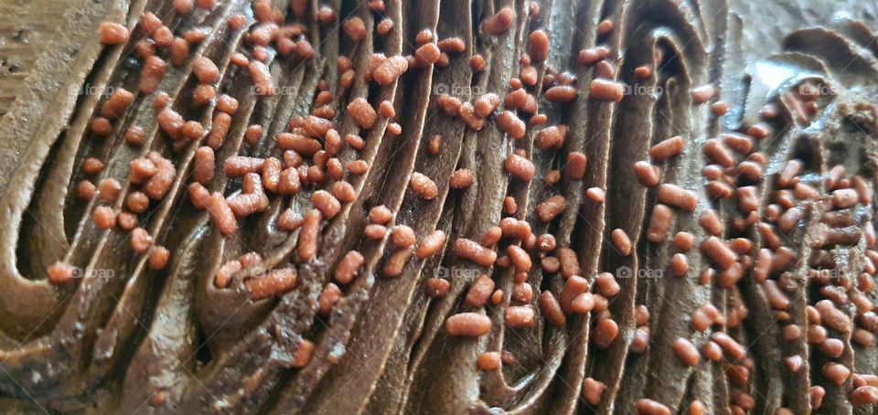 Chocolate Frosting - Delicious chocolate Cake and Frosting