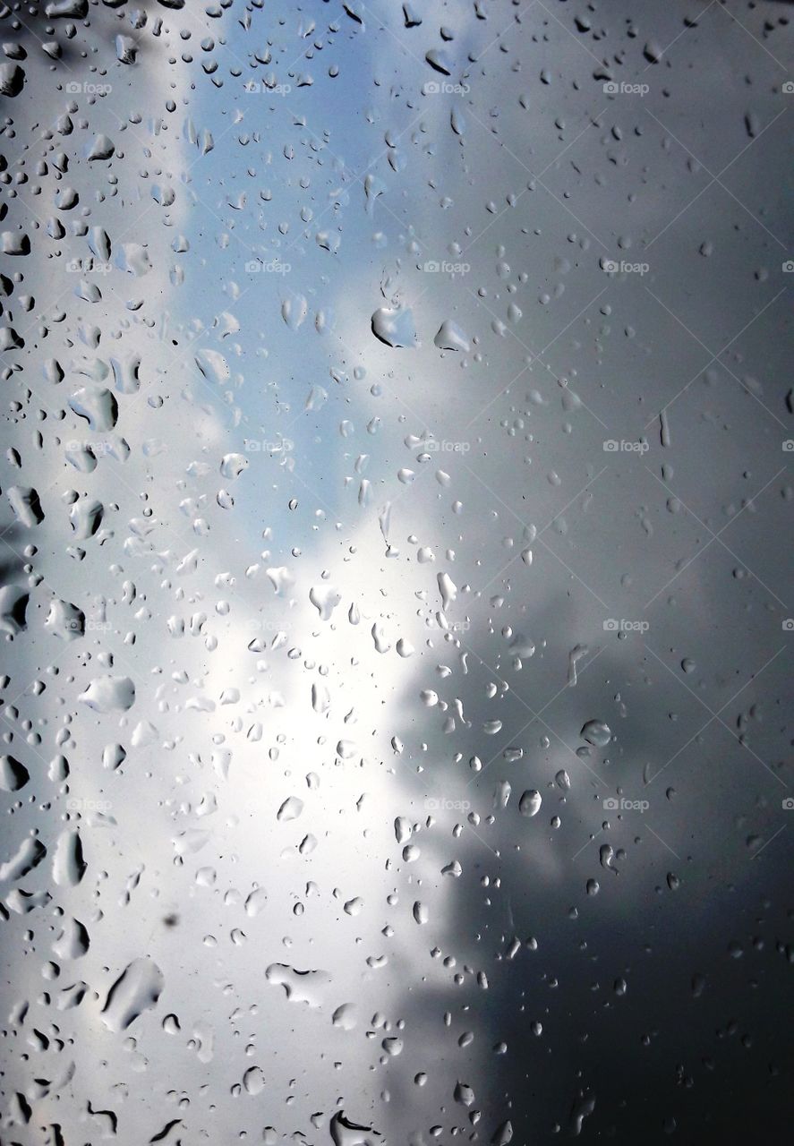 Rain, Wet, Drop, Bubble, Droplet