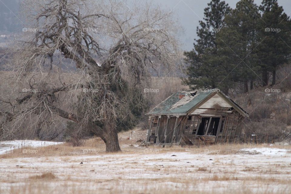 Abandoned building 