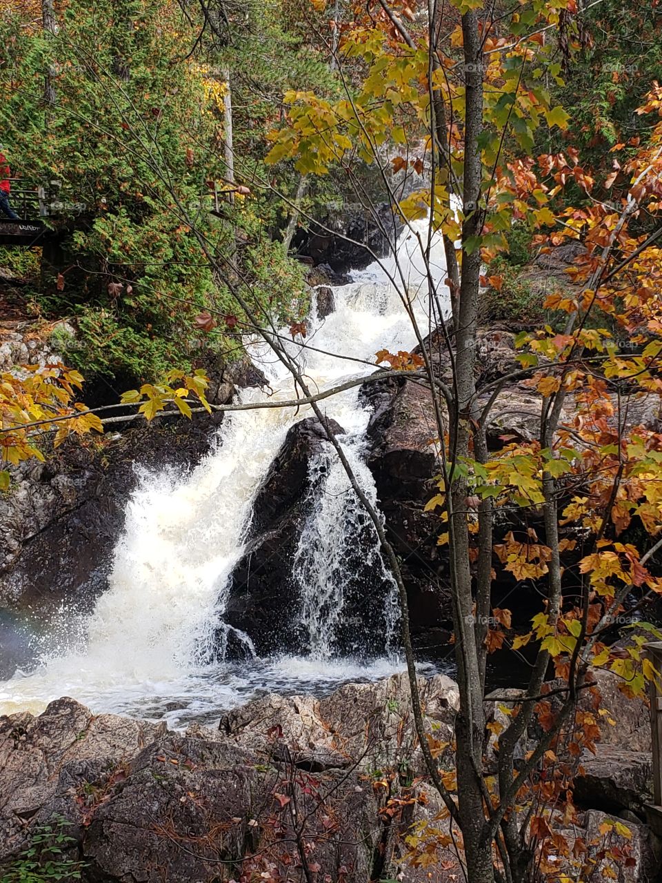 Beautiful fall day