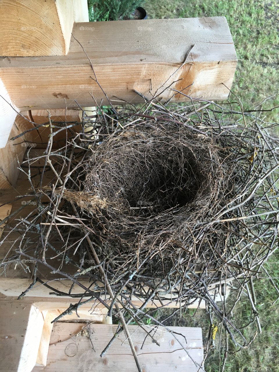 Nest, Nature, Wood, House, Hay