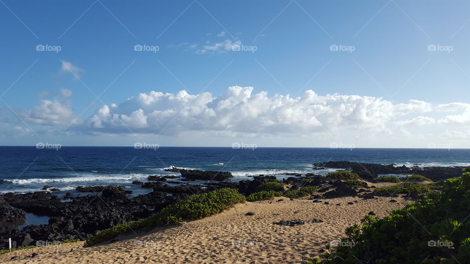 Scenic view from kaena point