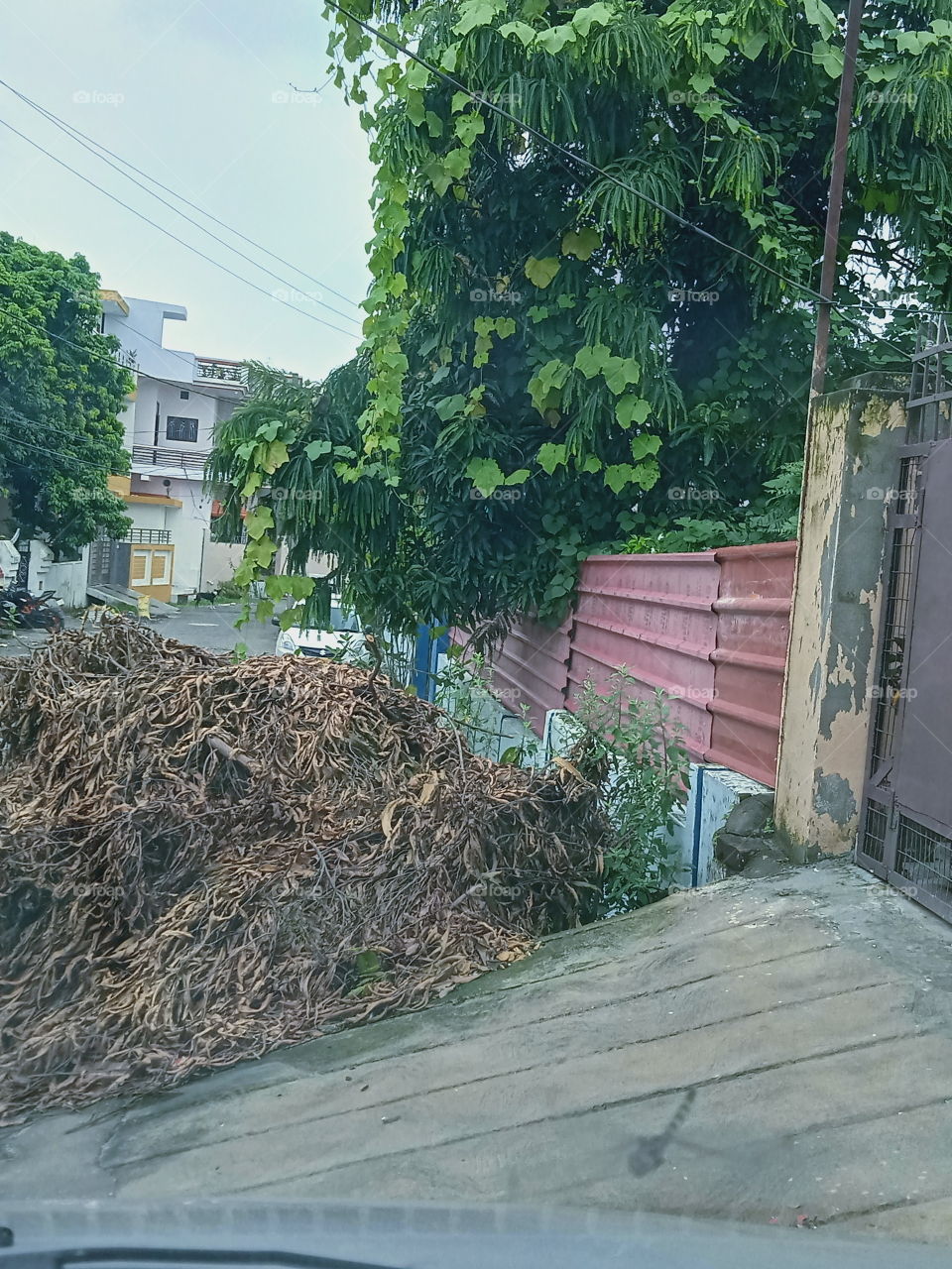 View through windscreen