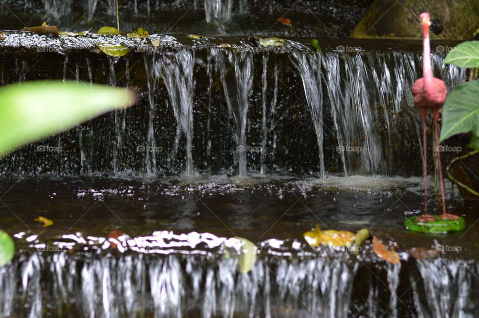 waterfall zen