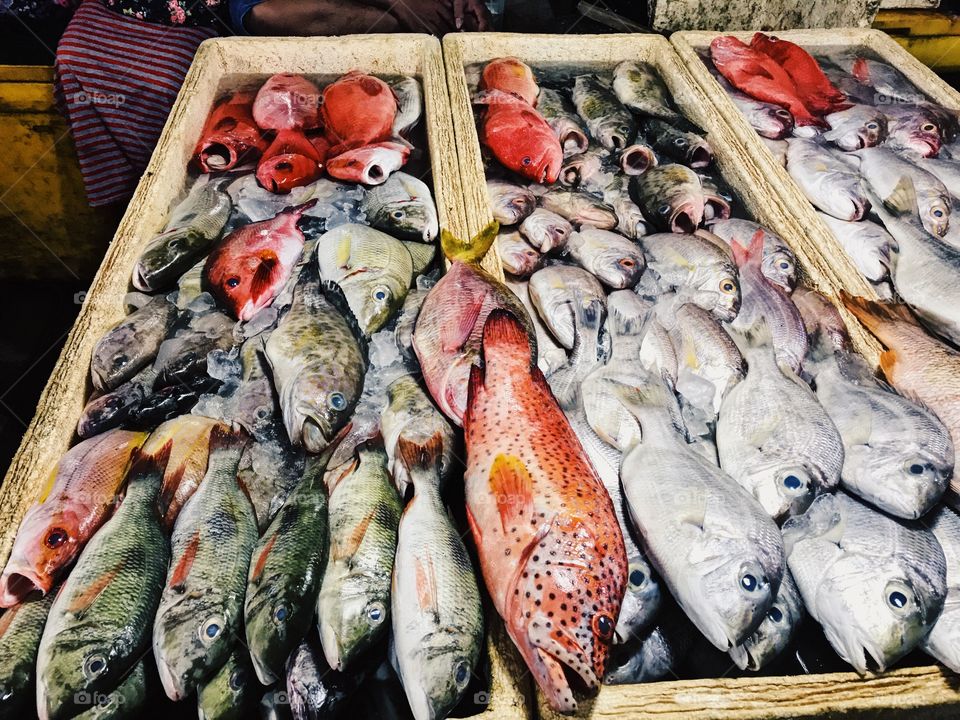Fishmarket, Jimbaran , Bali