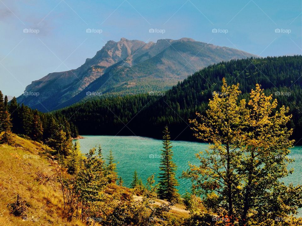 Scenic view of lake