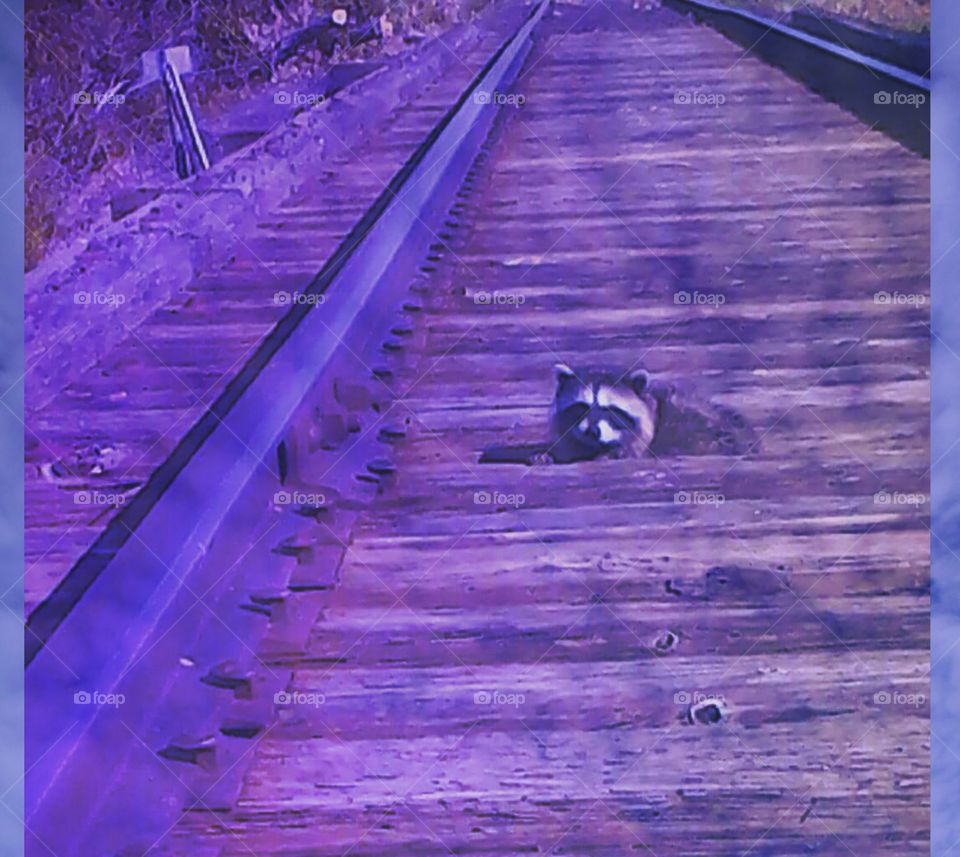 purple railroad bridge
