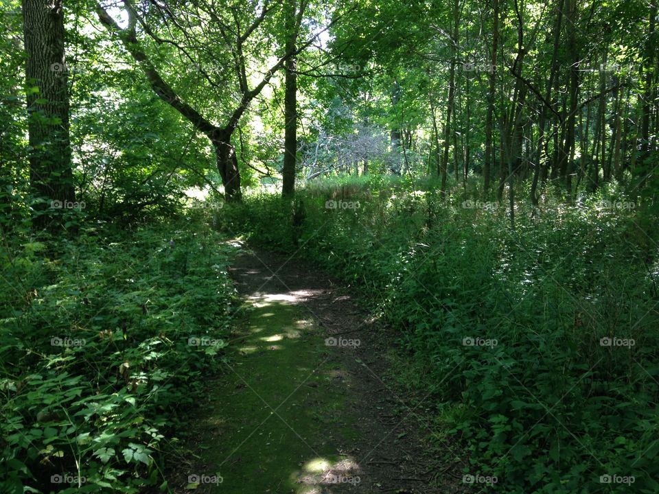 Schlitz Audobon Nature Center