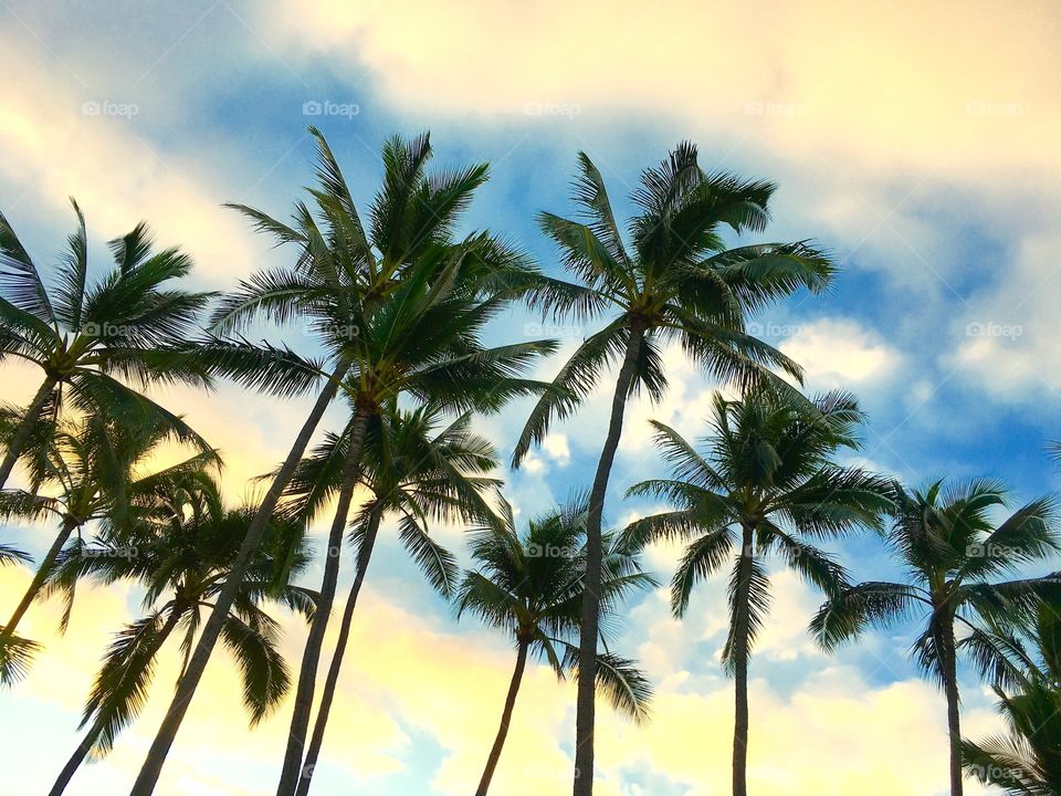Hawaii ❤️