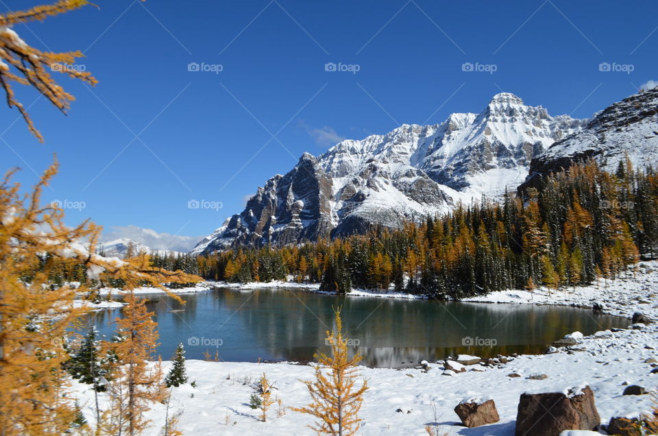 Reflection of mountain and autumn trees on idyllic lake