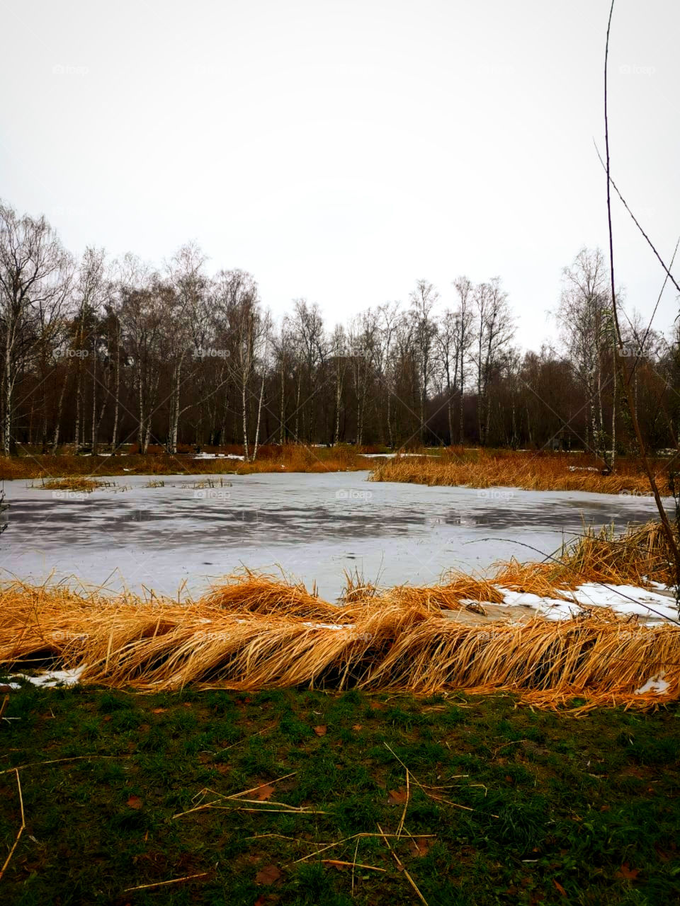 Frozen pond. Late fall