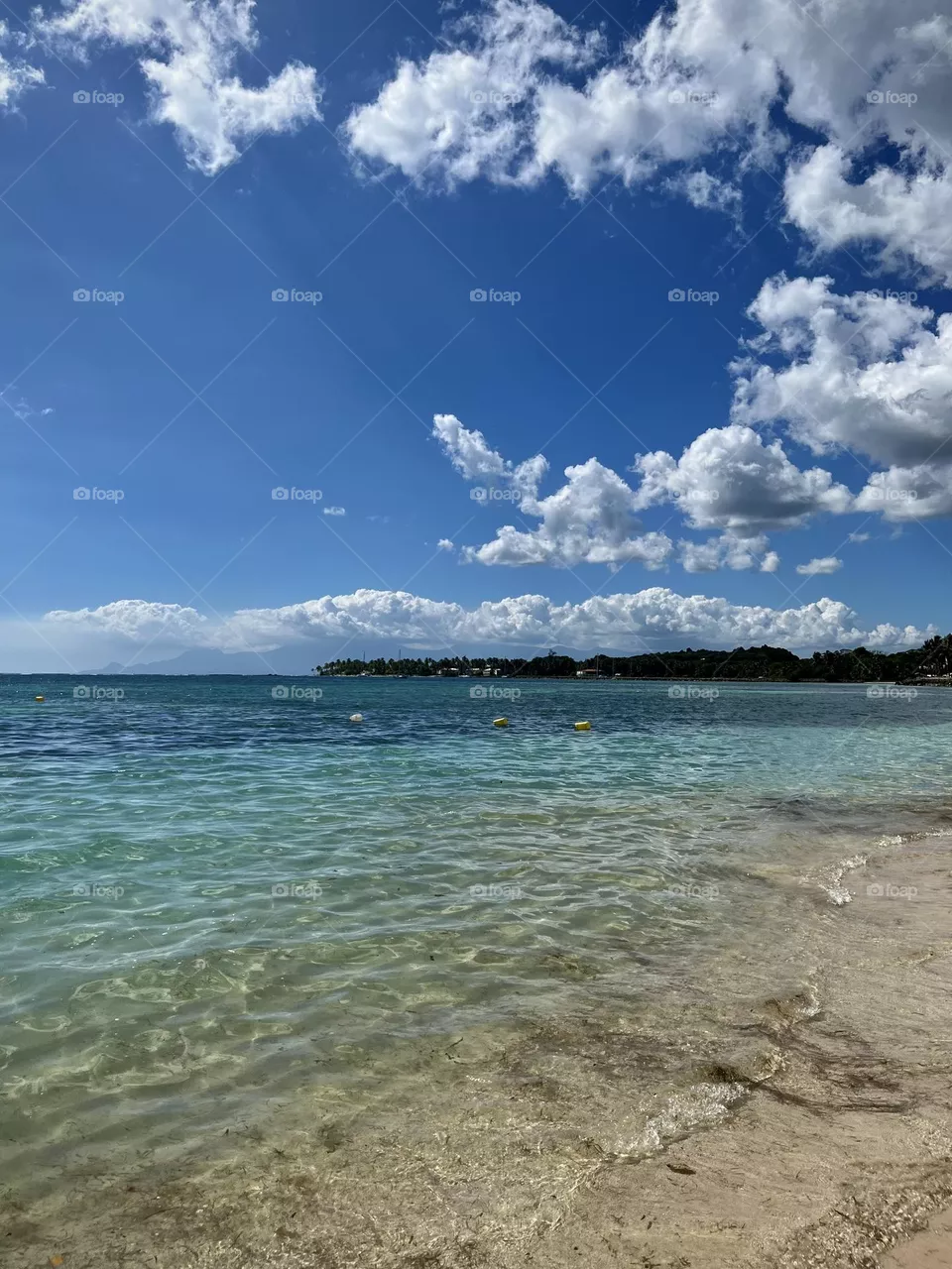 Caribbean Sea 