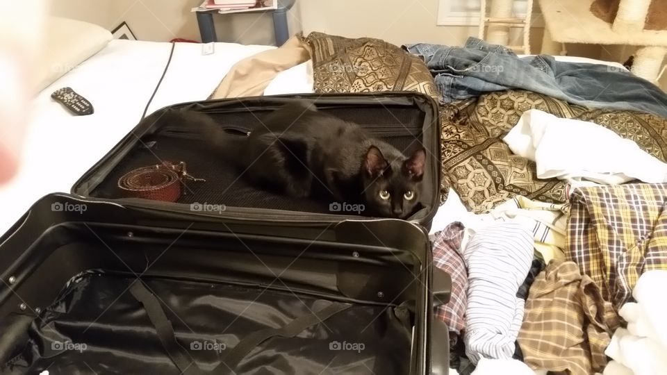 Take me with you