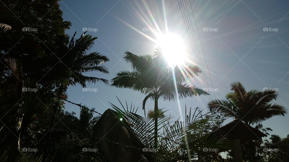 tonmai thisuanyngam mahadsachan phumsanthan tham masad aesng aedd aesng aedd singaeuadlom tham masad tham masad akad sod phonkhai