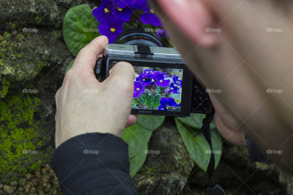 Photographer taking Picture of Purple Flower