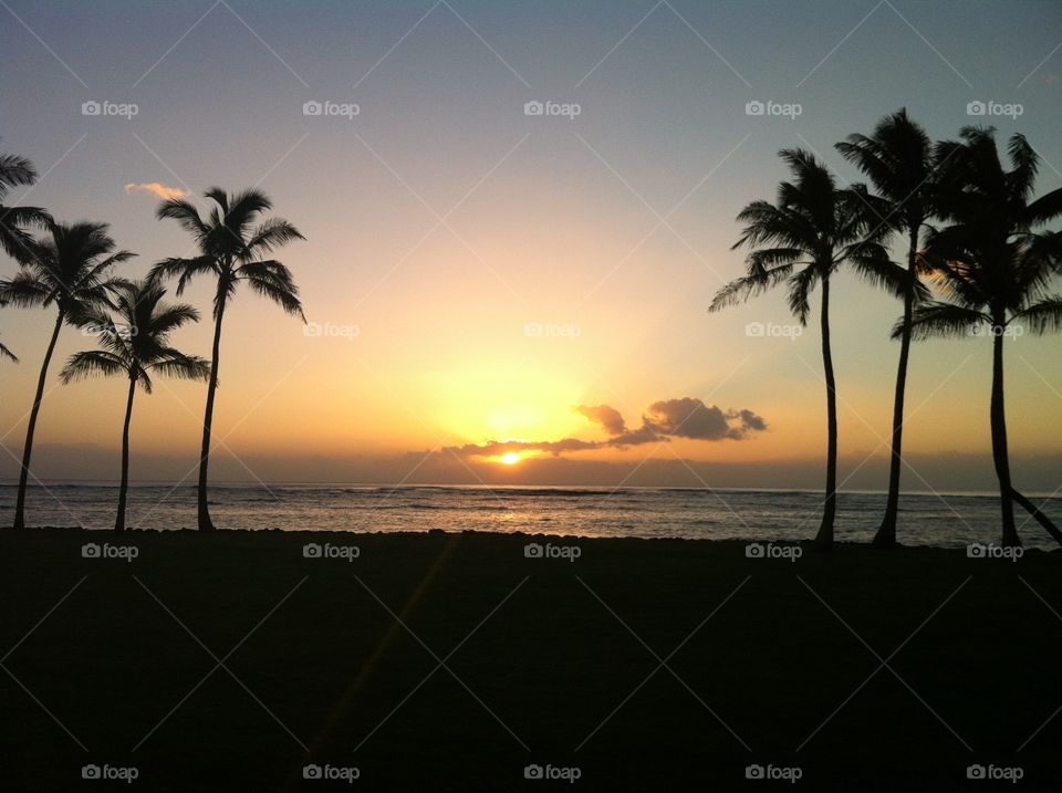 Kauai Rise. The sun rises over the Pacific from Kauai, Hawaii