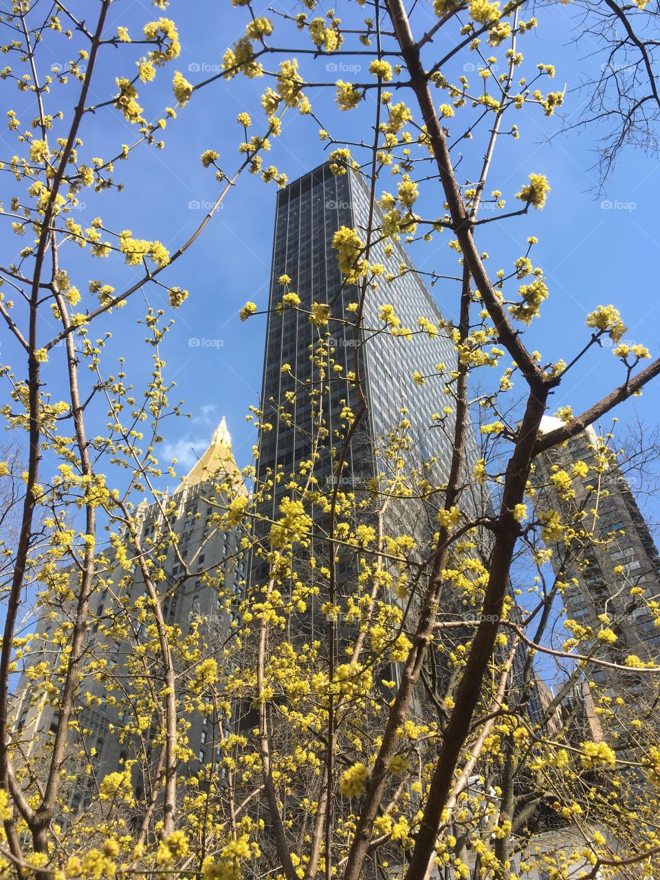 Low angle view of modern building 