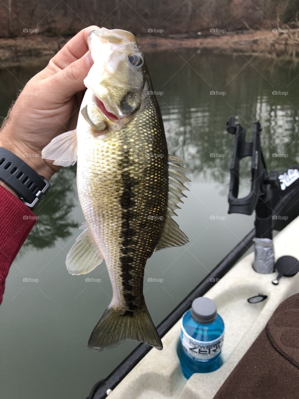 Small bass caught while kayak fishing in Tennessee 