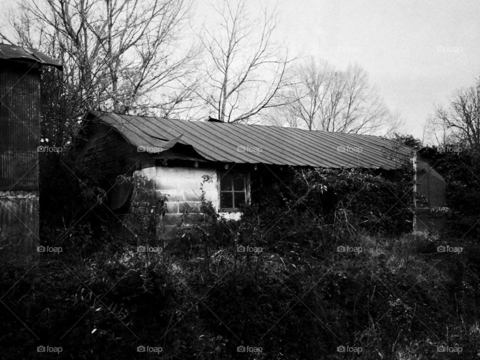 A B&W photo of an old milk barn on a farm in central Arkansas