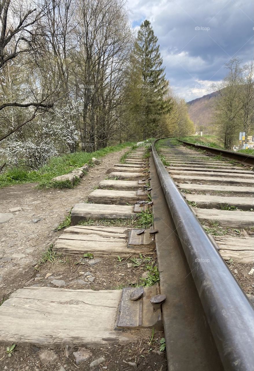 Railway in the forest 