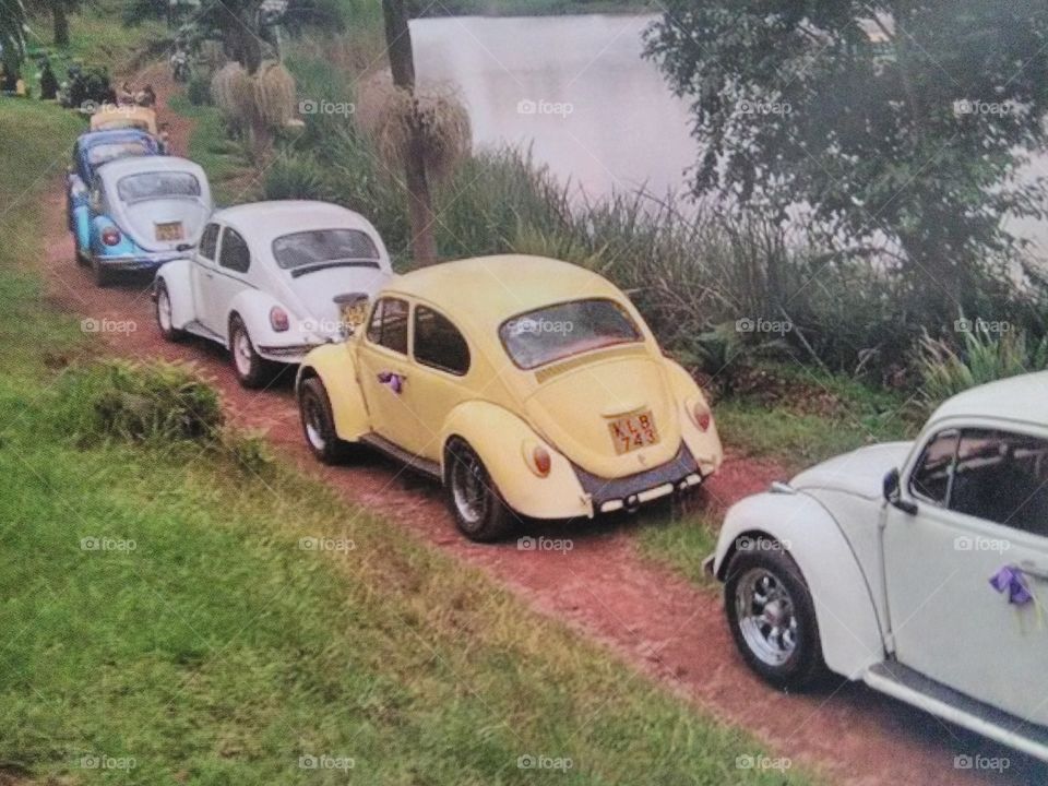 This is a fleet of old model Volkswagen Beetle little cars with an engine capacity ranging from 1100 CC.