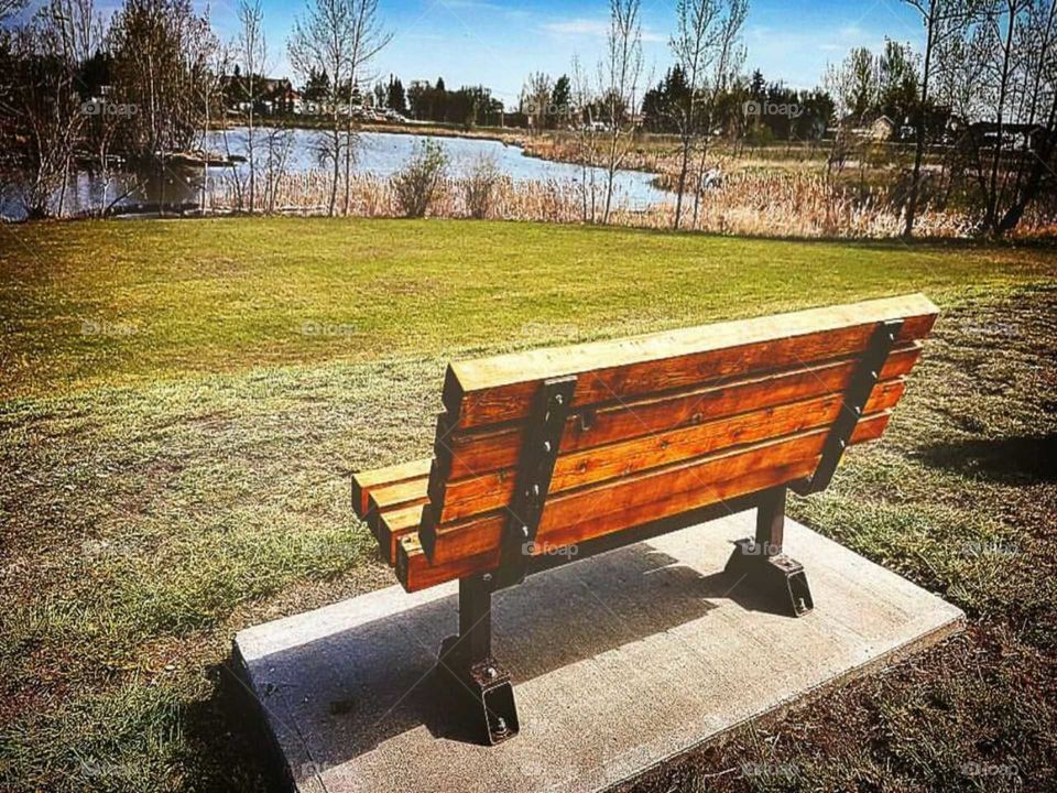 Bench, No Person, Park, Grass, Garden